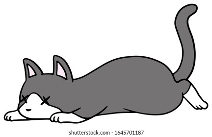 Vector illustration of a fallen  weak black and white cat