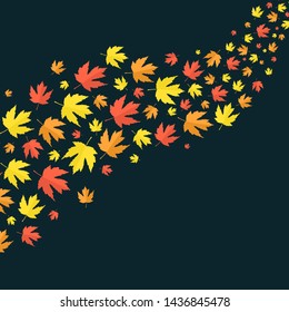 Vector illustration of falling autumn leaves isolated on dark blue background. Colorful maple leaves flying on air. Vector design template with moving on wind autumn foliage with copy space. 