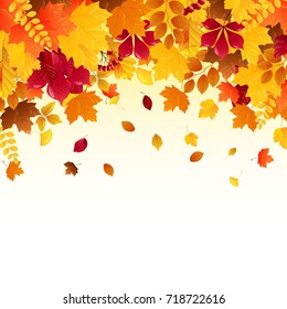 Vector Illustration Falling Autumn Leaves Stock Vector (Royalty Free ...