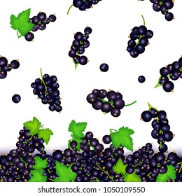 Vector illustration of falling black currant berries. Vector card illustration. 