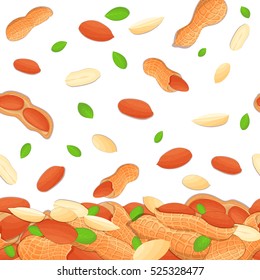 Vector illustration of falling hazelnut nuts. Background of a hazel nut. Pattern of a walnut fruit in the shell, whole, shelled, leaves appetizing looking for packaging design of healthy food