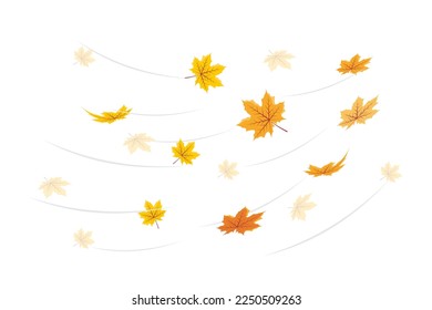 Vector illustration of falling leaves. Vector Falling Flying Autumn Leaves. Autumn illustration