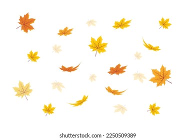 Vector illustration of falling leaves. Vector Falling Flying Autumn Leaves. Autumn illustration