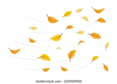 Vector illustration of falling leaves. Vector Falling Flying Autumn Leaves. Autumn illustration