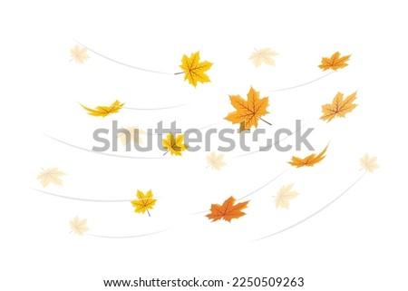 Vector illustration of falling leaves. Vector Falling Flying Autumn Leaves. Autumn illustration