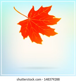 Vector illustration of a falling maple leaf on abstract white blurry background. Modern drawing for autumn poster template, seasonal sales coupon, wedding invitation, web banner, thanksgiving postcard