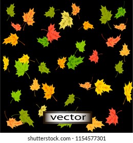 Vector illustration, falling maple leaves red and yellow set for autumn design .