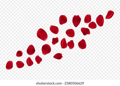 Vector illustration of falling petals of red rose on transparent background