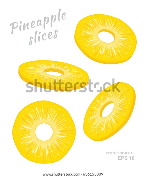 Ilustración vectorial de rodajas de piña: vector de stock (libre de ...