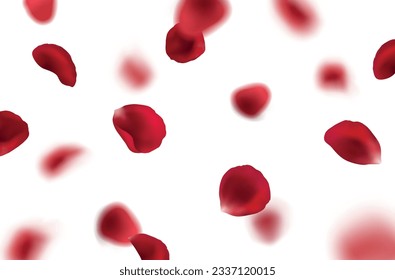 Vector illustration of falling realistic red rose petals isolated on white background