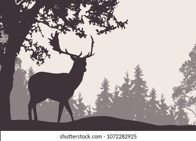 Vector illustration of a fallow deer standing under a deciduous tree with coniferous forest in the background - suitable as an advertisement for nature, travel or hunting