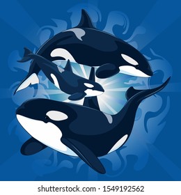 Vector illustration. A family of killer whales with a cub underwater against the backdrop of sunlight.