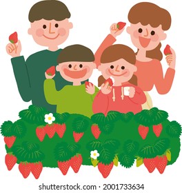 
Vector illustration of a family picking strawberries