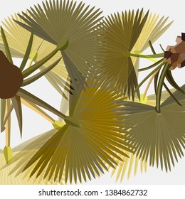 Vector illustration of fan palms. Lush stylized palm leaves. Palm branches silhouettes.  