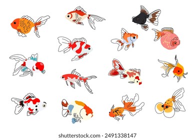 A vector illustration of Fancy Goldfish Icons