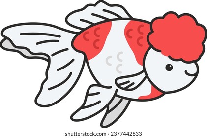 Vector illustration of fantail goldfish. Isolated on a white background.