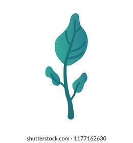 Vector illustration of fantasy turquoise gradient tree or leaf for floral natural design in flat style. Decorative botanical element of foliage isolated on white background.
