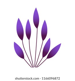 Vector illustration of fantasy violet plant isolated on white background. Modern gradient color grass or flower - trendy decorative element for floral natural design.