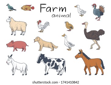vector illustration of farm animal. hand drawn collection.