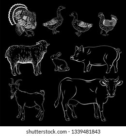 Vector illustration of farm animals in chalk style