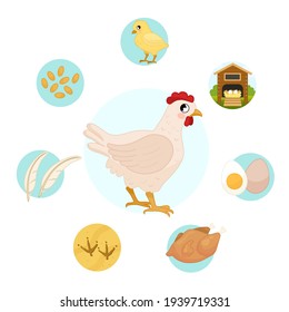 Vector illustration of farm animals. Cute cartoon hen. Set of icons. Benefits of farm animals

