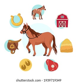 Vector illustration of farm animals. Cute cartoon horse. Set of icons. Benefits of farm animals

