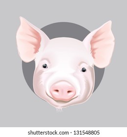 Vector illustration of farm animals faces: pig