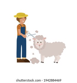 Vector illustration of Farm animals. A farmer shears livestock. Breeding and caring for a Sheep. Vector illustration