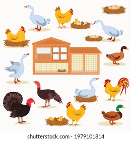 vector illustration of farm bird hatching eggs, chickens, coop isolated on white background