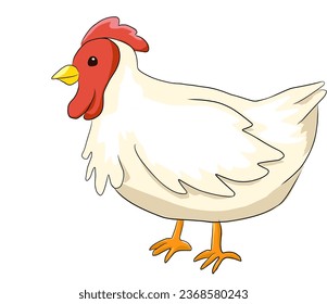 ilustración vectorial del pollo de granja.