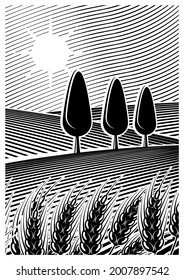 Vector illustration of a farm field or vineyard. In the foreground are some ears of cereal. In black and white colors.