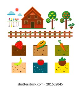 Vector illustration of farm and fruit on white background