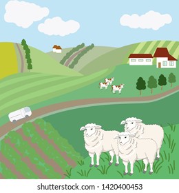 Vector illustration of farm landscape with sheeps and cow