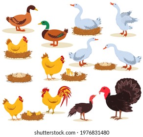 vector illustration of farm poultry standing, hatching eggs, chickens isolated on a white background