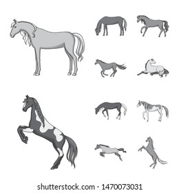 Vector illustration of farm and riding logo. Set of farm and equestrian vector icon for stock.
