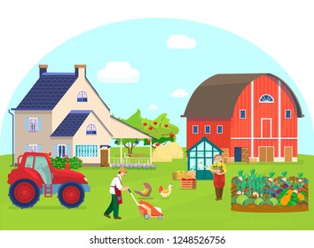 Vector illustration of farm scene. Red barn, vegetable beds, tractor, glass house with plants,apple trees, boxes with vegetables, gardener mowing lawn, chikens pecking at grain, haystacks, flowers.