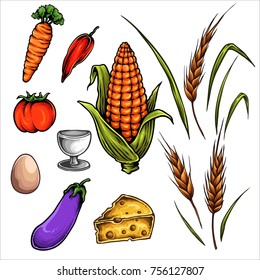vector illustration of farm vegetables carrot chili tomato egg wheat cheese eggplant corn