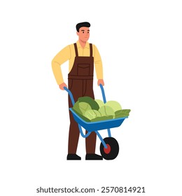 Vector illustration of a farmer. Cartoon scene of a handsome farmer dressed in brown overalls, yellow jacket, with a wheelbarrow filled with green cabbage isolated on white background.Garden work.