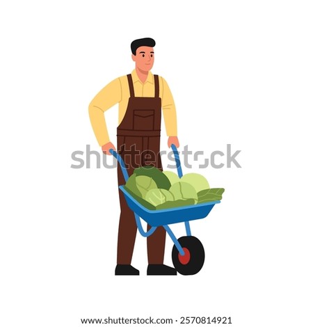 Vector illustration of a farmer. Cartoon scene of a handsome farmer dressed in brown overalls, yellow jacket, with a wheelbarrow filled with green cabbage isolated on white background.Garden work.
