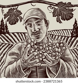 vector illustration Farmer picking grapes in the garden, with agricultural background. unique carving technique