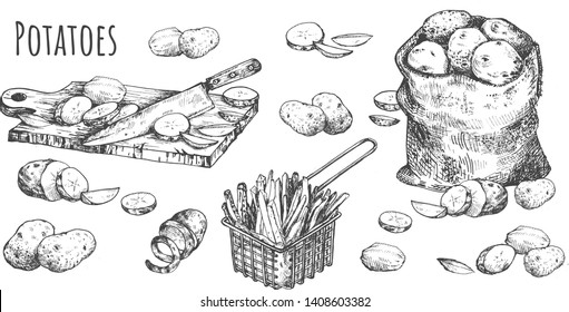 Vector illustration of farmers market vegetable shop set. Peeled, whole and cut potatoes and sack still life with board and knife, fries in the basket. Vintage hand drawn style.