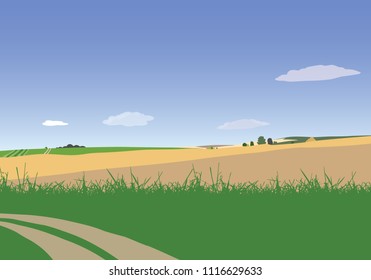 Vector illustration of farmland with grass, path and field under blue sky with clouds