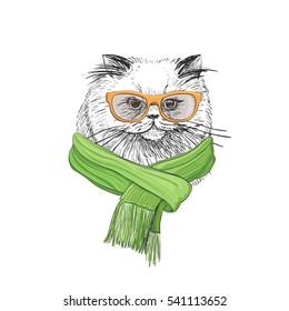 
Vector illustration of fashion fluffy cat in glasses and scarf. Image for postcards or printing on T-shirt
