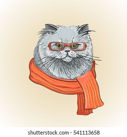 Vector illustration of fashion fluffy cat in glasses and scarf. Isolated image on white backgroundt