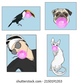 Vector Illustration of fashion set for t-shirts. The emblem of a pug, a toucan, a girl, a sphinx blank for a designer