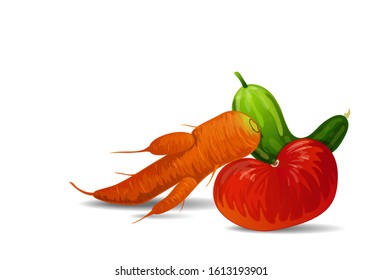 Vector illustration of fashionable ugly organic tomato, carrot and cucumber isolated on white background. Ugly food concept, ugly forms of organic vegetables. 