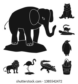 Vector illustration of fauna and entertainment symbol. Collection of fauna and park stock vector illustration.