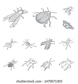 Vector Illustration Fauna Entomology Symbol Collection Stock Vector ...