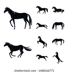 Vector illustration of fauna and mare icon. Set of fauna and stallion stock symbol for web.
