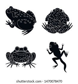 Vector illustration of fauna and reptile logo. Set of fauna and anuran vector icon for stock.